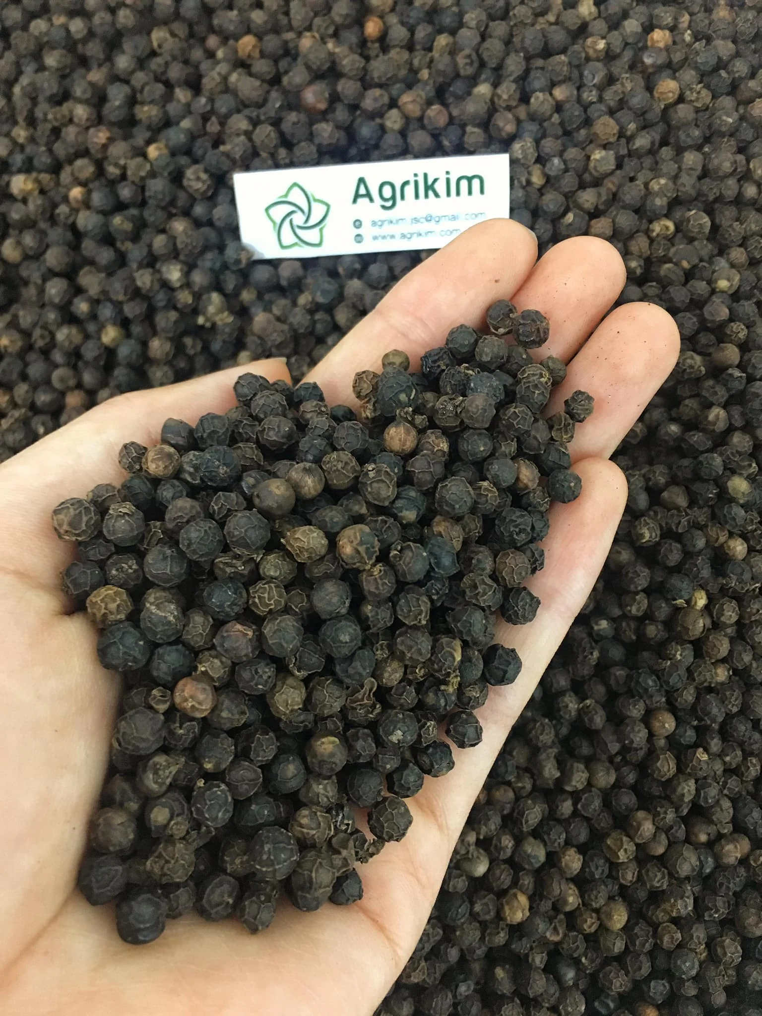 [Credible Provider] Export Quality Top Selling Best Price Spices and Herbs Products Black Pepper Made In Vietnam