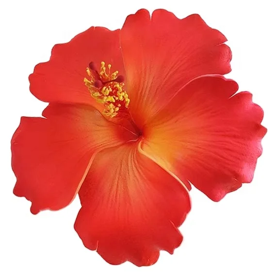 Hot Selling of All Time  Fashion Accessories Handmade EVA foam hawaiian hibiscus flower with special/Unique tattoo pattern print