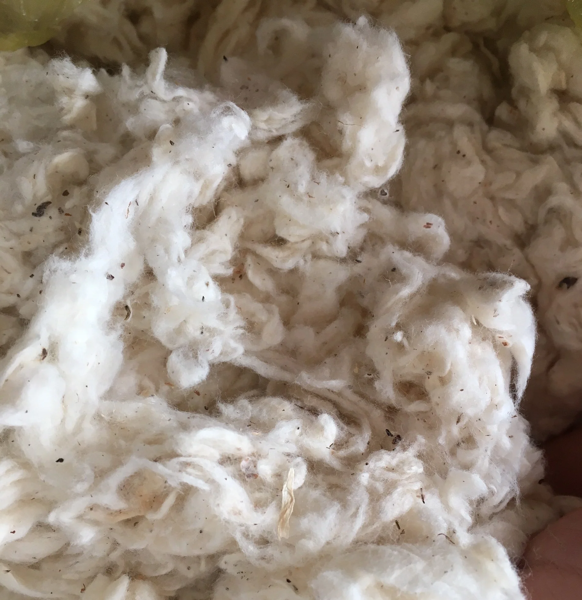 Lickerin A and B Grade/Card Fly/Flat strip Cotton Waste With Negotiable Price From Vietnam ( Ms. Xavia +84333371330 )