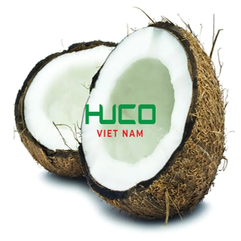 Cheap Price High Quality fresh coconut - fresh sweet young coconut organic from Vietnam
