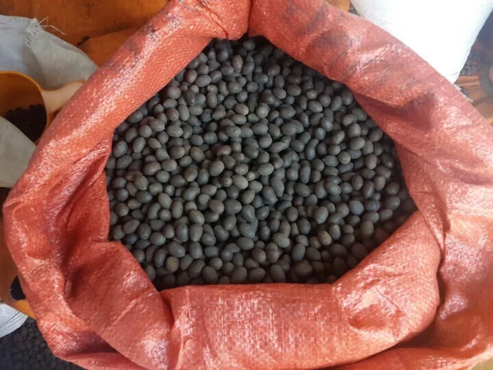 Высококачественный орех лотоса оптом вьетнамский сушеный черный с чипом по цене и Бестселлер