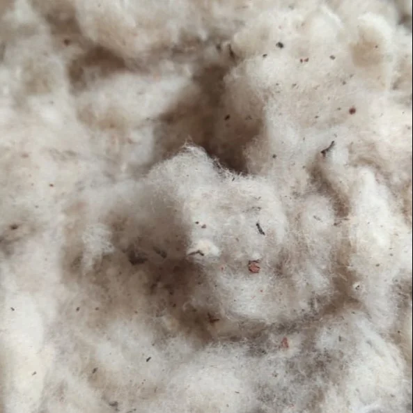 COTTON LINTER