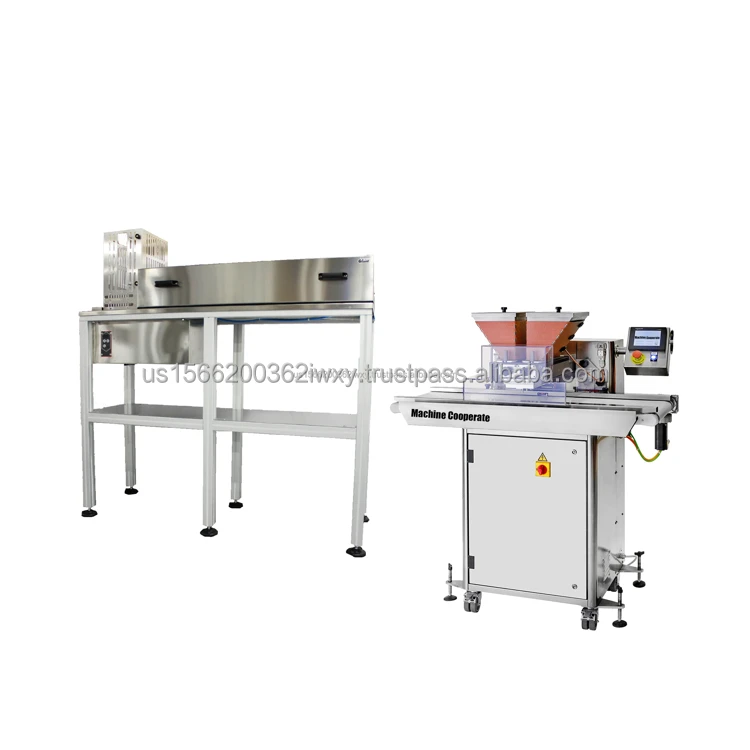 High Quality C175 Small Automatic Center Fill Chocolate Granule Machine for Candy and Bakery Use with Pump Core Components
