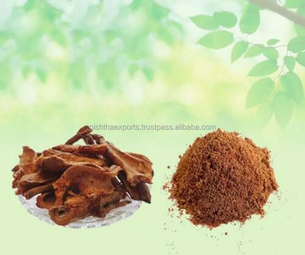 Tecomella Undulata Rohida Powder Rohira Powder Ragat Rohida Powder Rohitak Raw Herbs Wholesale Plant Extract Herbal Product