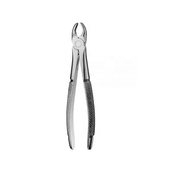 
 Professional Dental Extracting Forceps In Stainless Steel  