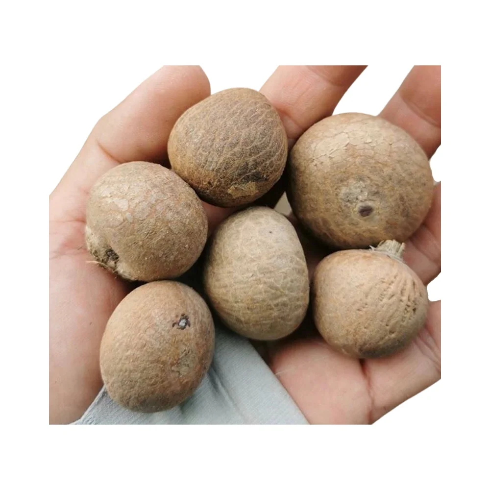 Best Selling Export Quality Areca Whole Betel Nut High Quality Betel Nuts Products From Thailand