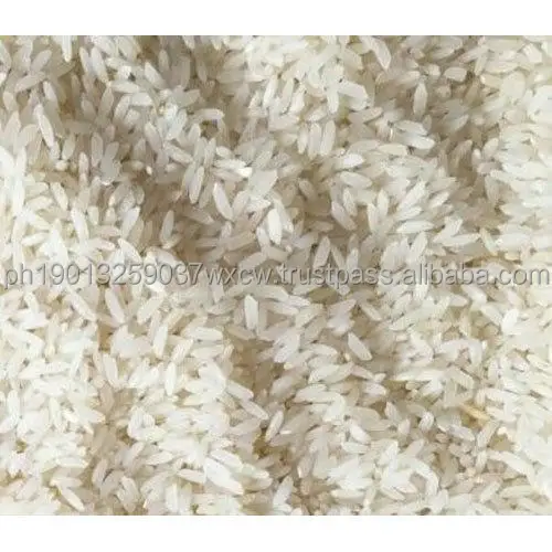 sona-masoori-rice-500x500.jpg