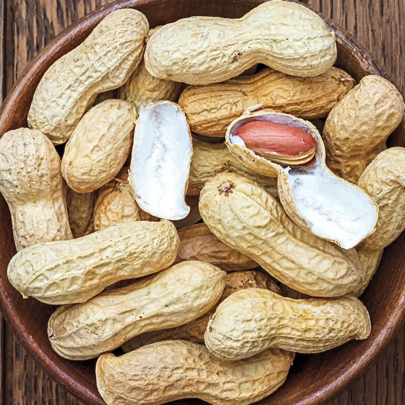 
HIGH QUALITY PEANUT NUT VIETNAM 