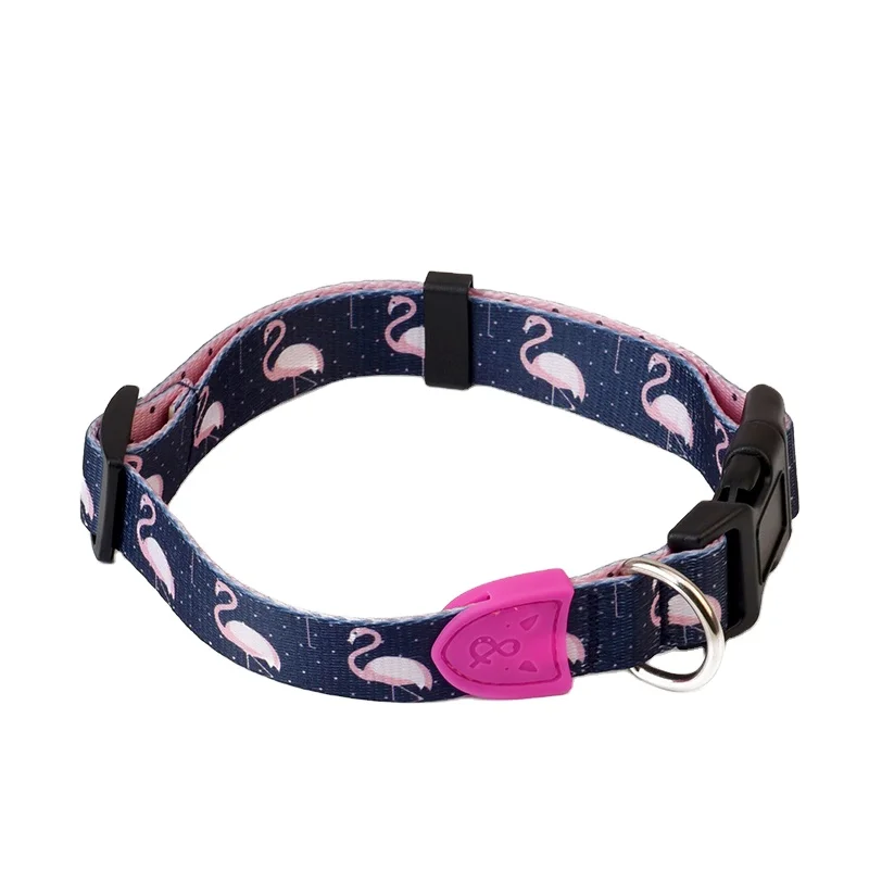 Waterproof Shock Polyester nylon Training Para Perros Collar And Leash Set Collares Leashes collar outdoor