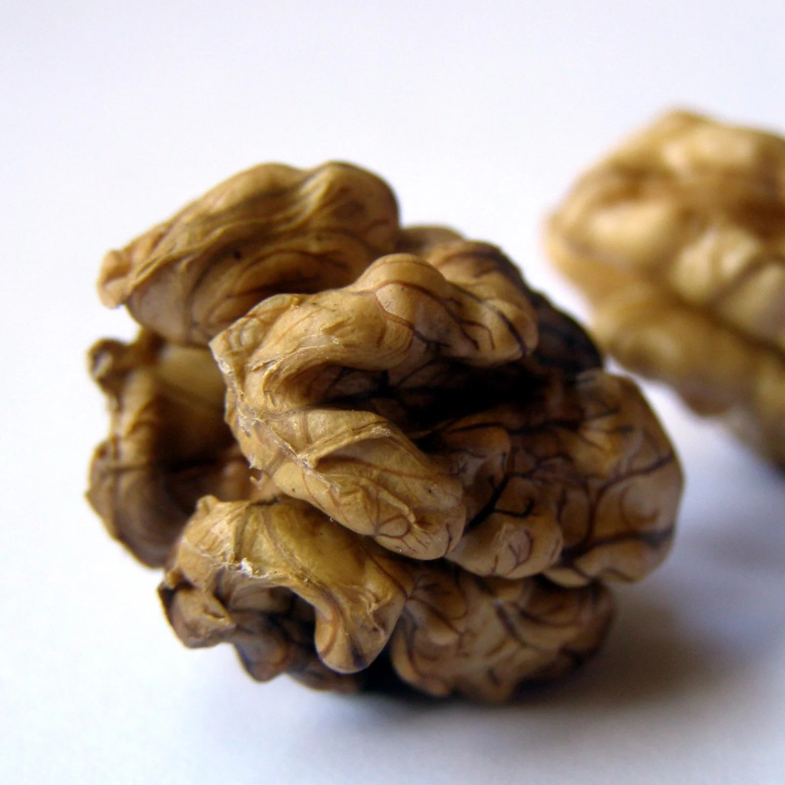 Walnuts Best Seller Manufacturer Wholesale Premium Organic Walnuts in shell