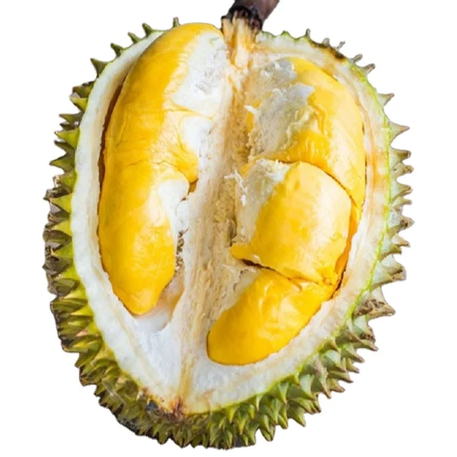Frozen Musang King Durian Seed Pulp Frozen Durian Ri 6 Whole Fruit with Good Price Akina
