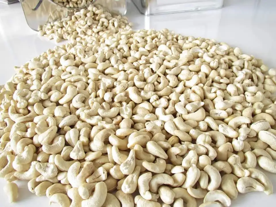 Vietnam processed cashew dried nuts W320 Price Wholesale Packing in Vacuum Bag cashew bag 10 kg