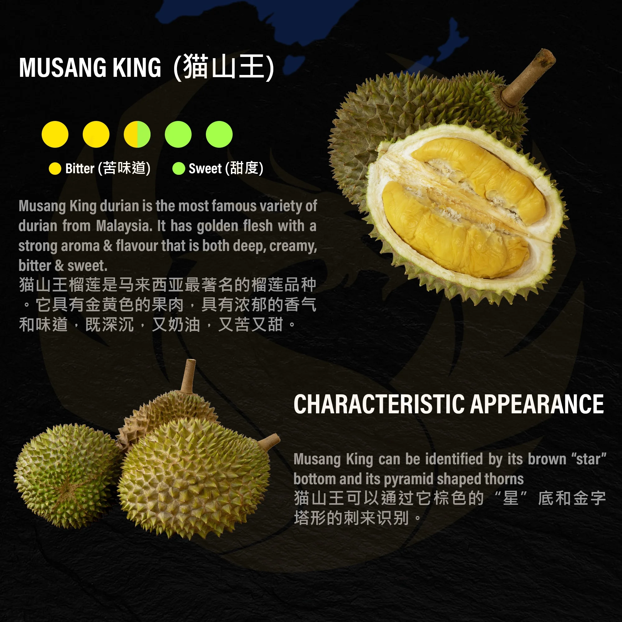 Premium Frozen Durian Musang King (D197) Mao Shan Wang Malaysia (Durian Paste Seedless)