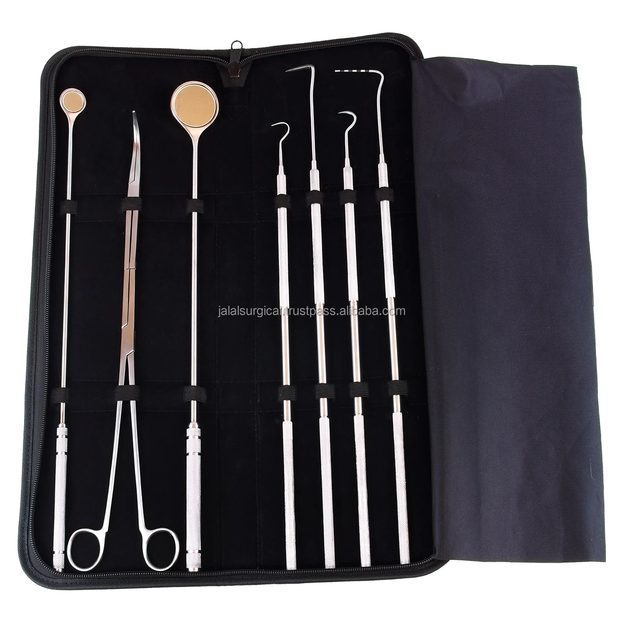 7 Piece Equine Periodontal Instrument Set, Equine Dental Instrument Set