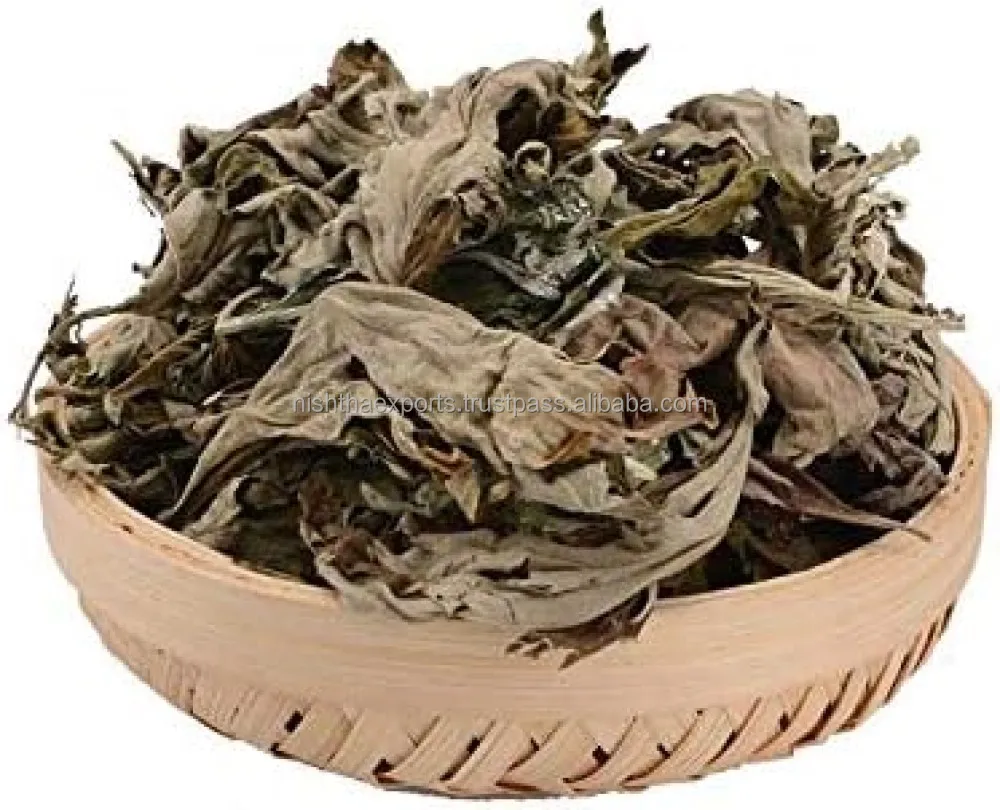 Artemisia Vulgaris Mugwort Dry Leaves Magwort leaf Dried Raw Herbs Wholesale Plant Extract Herbal Product