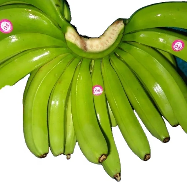THE PREMIUM FRESH CAVENDISH BANANA
