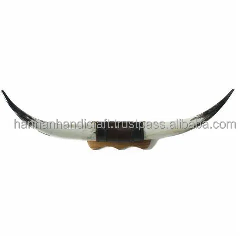 Agate Natural Christmas Celebration Mounted Steer Mounted Horns And Horn Pairs polished cow horns bull Western Decoration