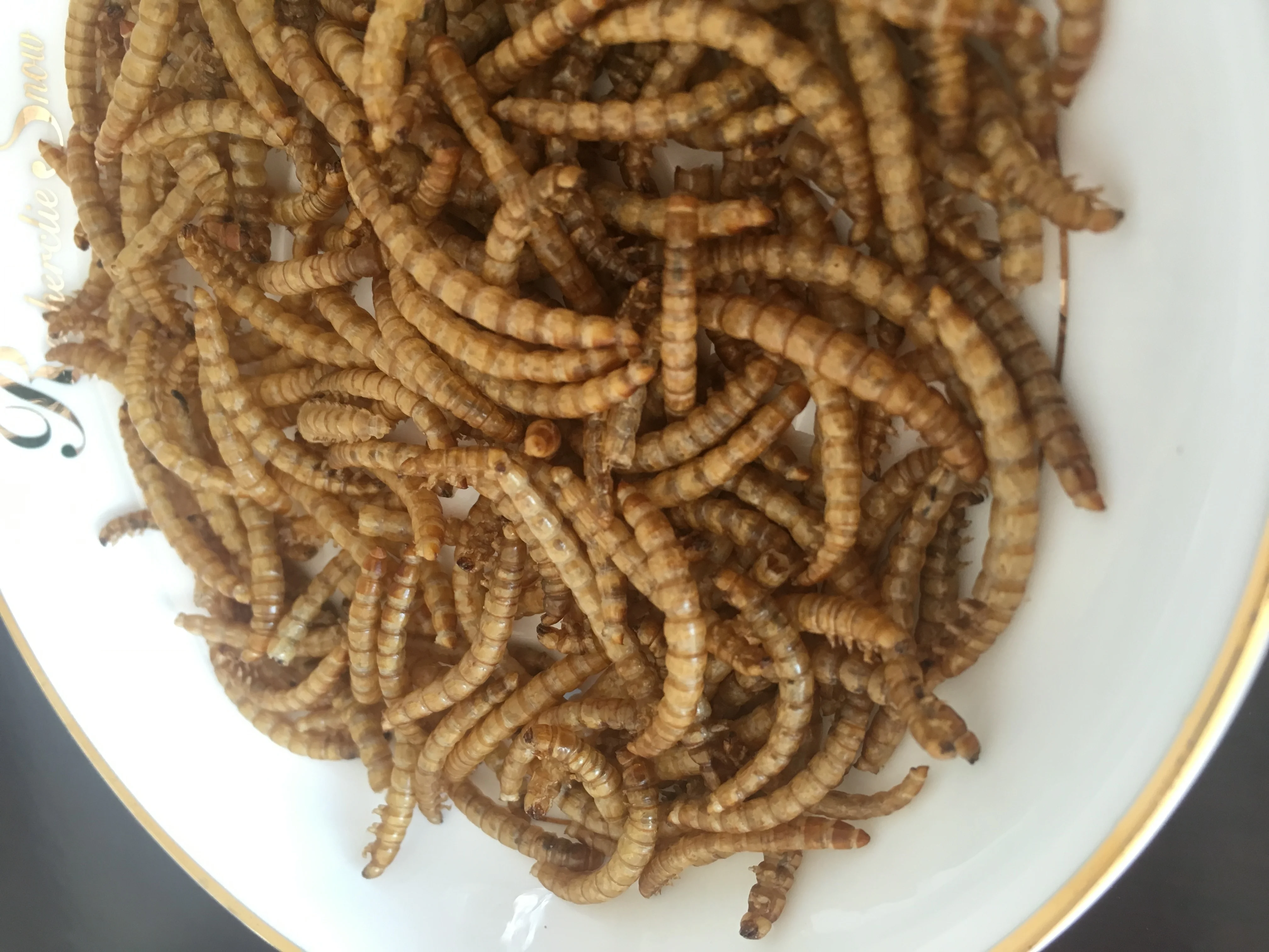 Microwaved dried mealworm bird food pets food animal food