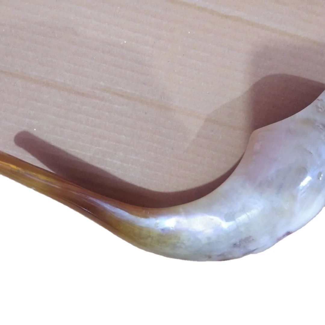100% Natural Goat Shofar Horn Goat Polished Shofar Horn Wholesale Shofar Horn religious purpose by Craftsy Home