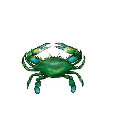 Blue Swimming Crab Frozen IQF Best Quality Master Seafood Product Size 100-500gm Origin Bangladesh Wholesale offer Price