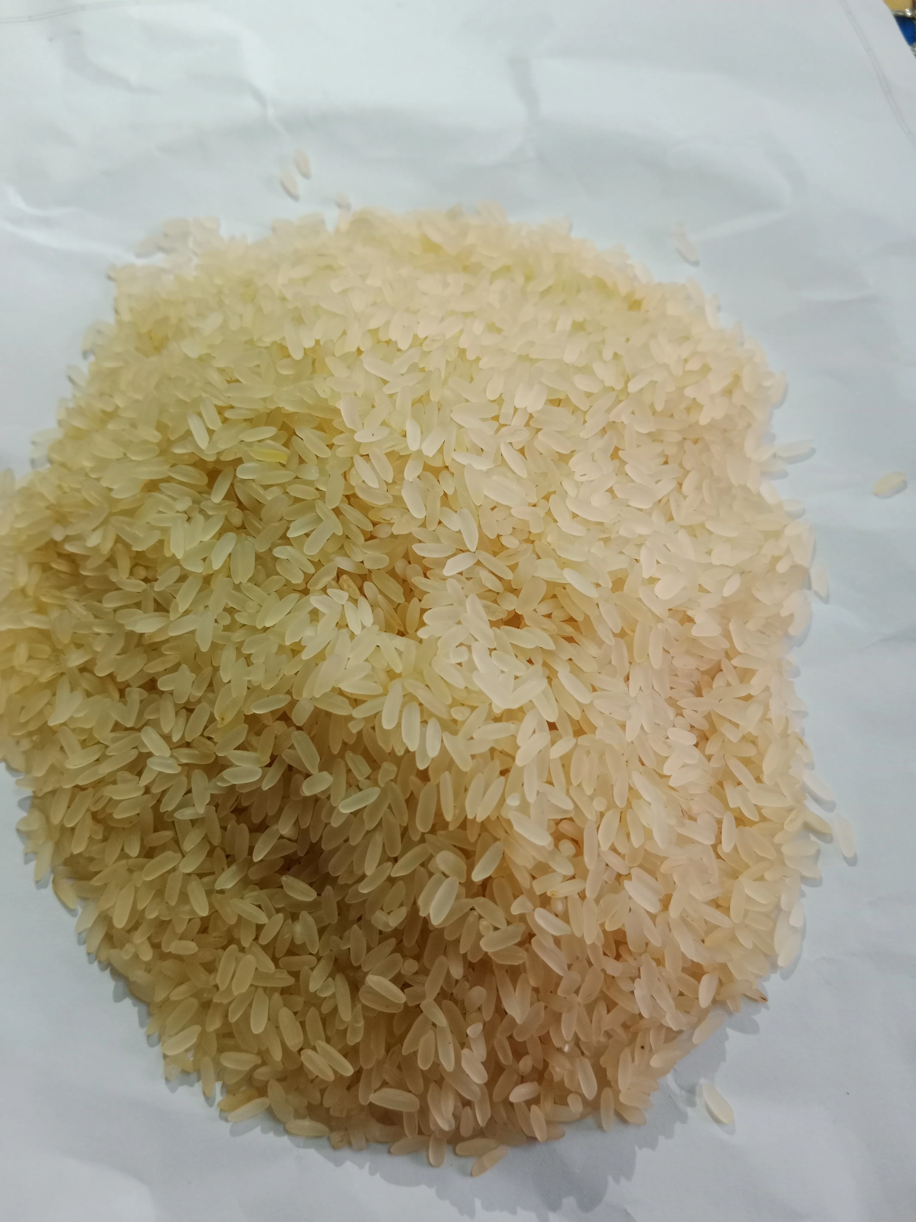 IR 64 Rice Whole sales Price