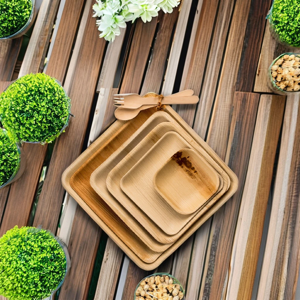 Areca Palm Leaf Disposable Square Plates/Tray/Dishes | 9 Inch ( 23 Cm) | 100% Biodegradable | Natural & Eco-friendly