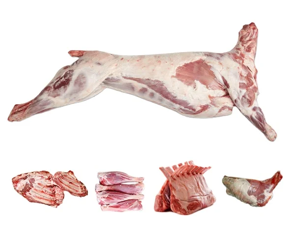  High Quality Freshly Frozen Lamb Meat/ Halal Mutton/Goat Carcass