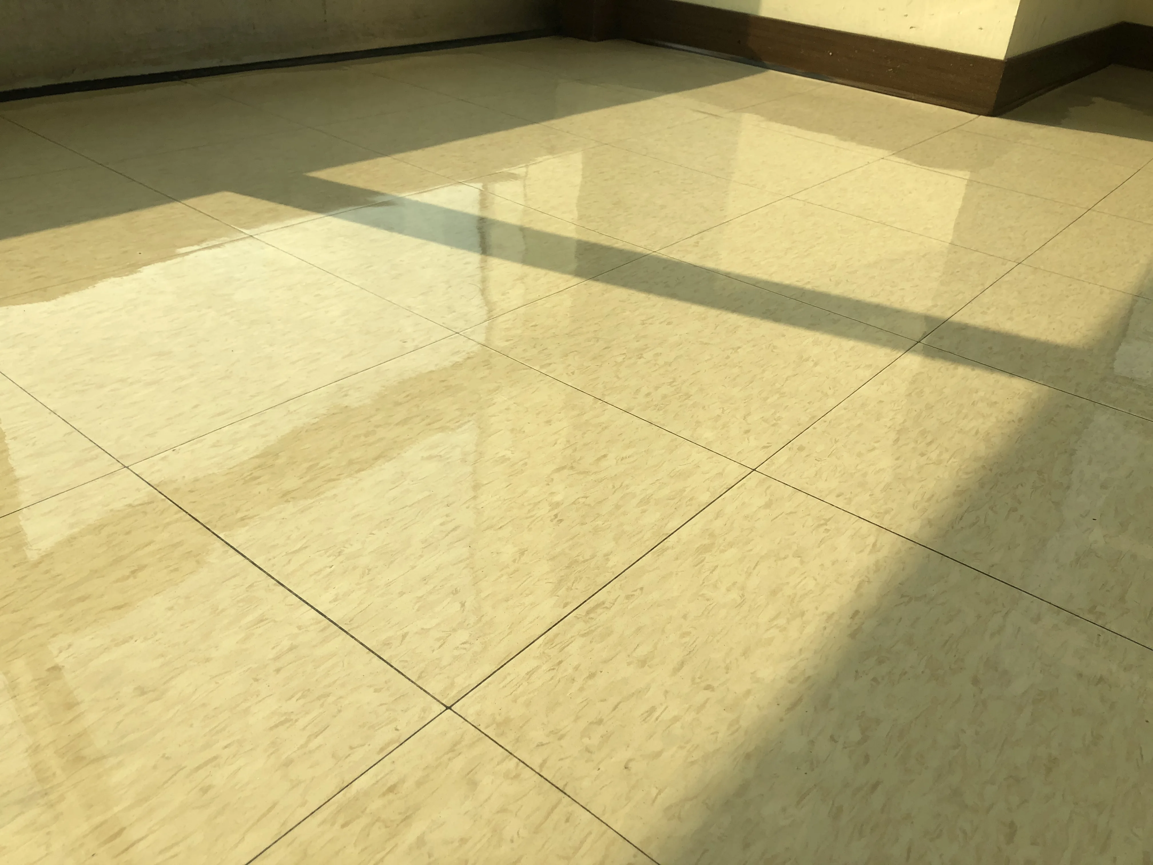 Floor Finish Concentrate