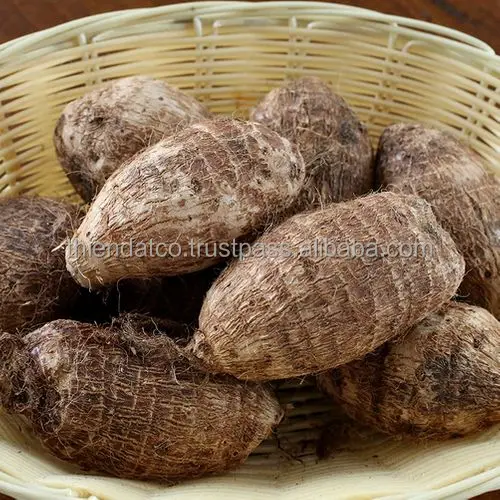 Высококачественный вьетнамский свежий корень Таро по лучшей цене