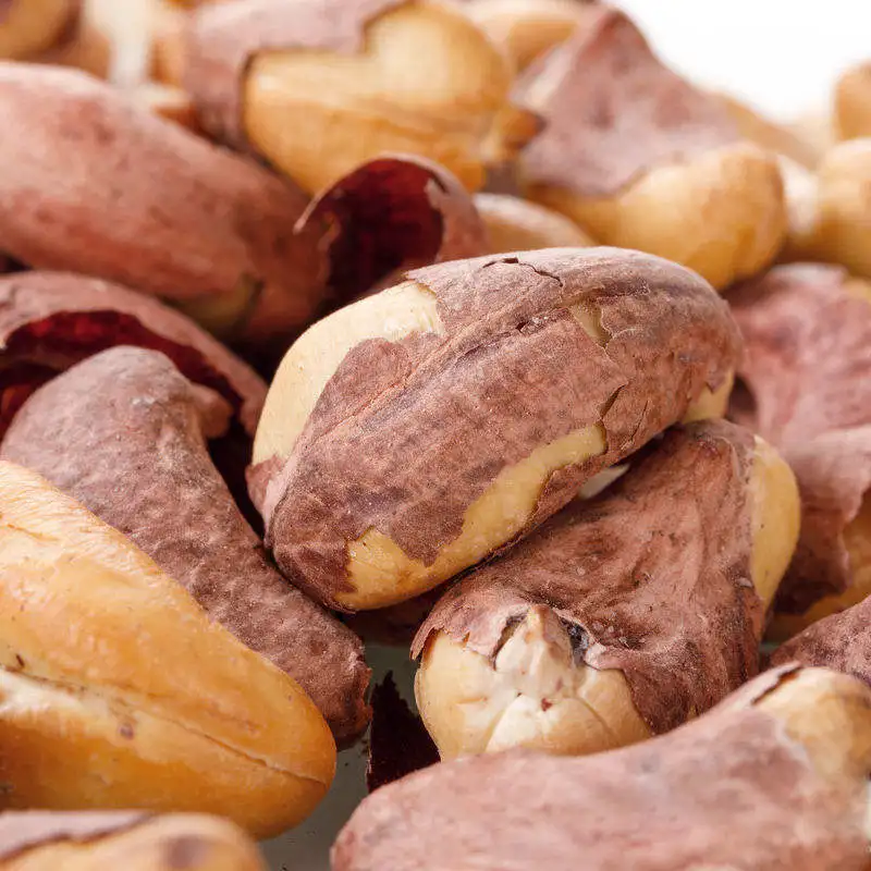 [FREE SAMPLE] ROASTED AND SALT CASHEW NUTS ROASTED CASHEW NUTS WITH SKIN CASHEW KERNEL WITH THE BEST PRICE +84 363 565 928