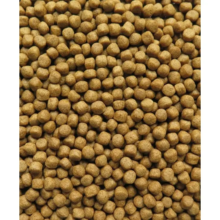 Tilapia Fish Feed High Protein Floating Pellet Rapid Growth Enhancer Exported from Vietnam with Premium Fish Meal 20kg/bag