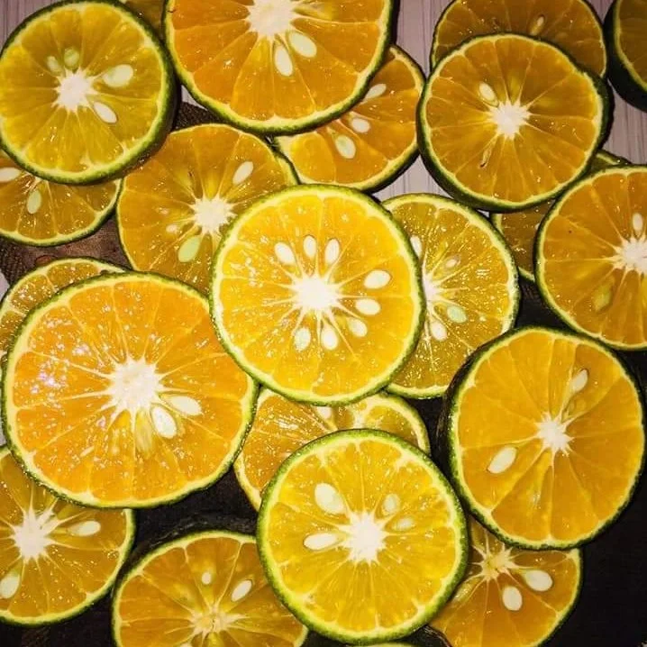 Премиум высокое качество чистое сельское хозяйство VietGAP привлекательные цены свежие фрукты апельсина из Вьетнама