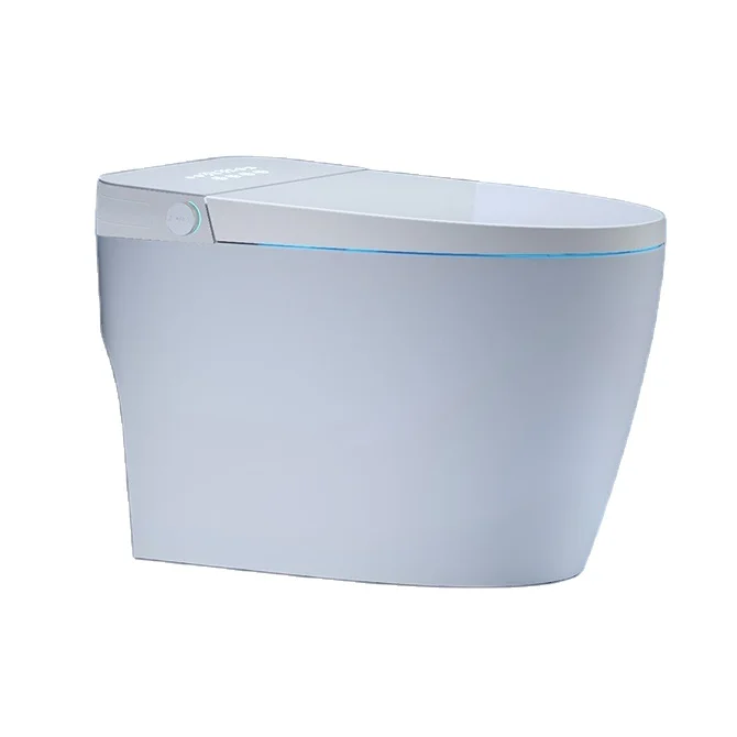 Smart Household Water Tap Elongated Seat Remote Control Automatic Flip Cover Siphon Type Instant Heating Floor Mounted