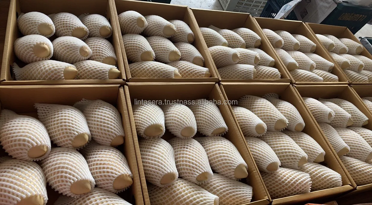 Thailand Export Quality  Best Selling Mangoes Known As Nam Dok Mai