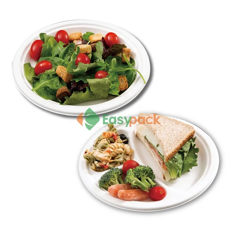 10 inch with 3-comp biodegradable white round sugarcane bagasse pulp plate
