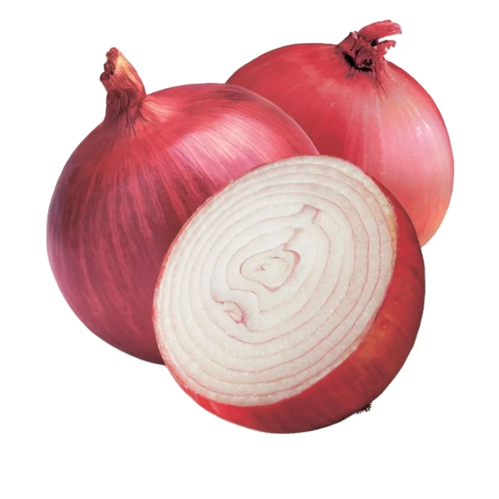 Короткий день verity лук-красный креол для овощей свежий