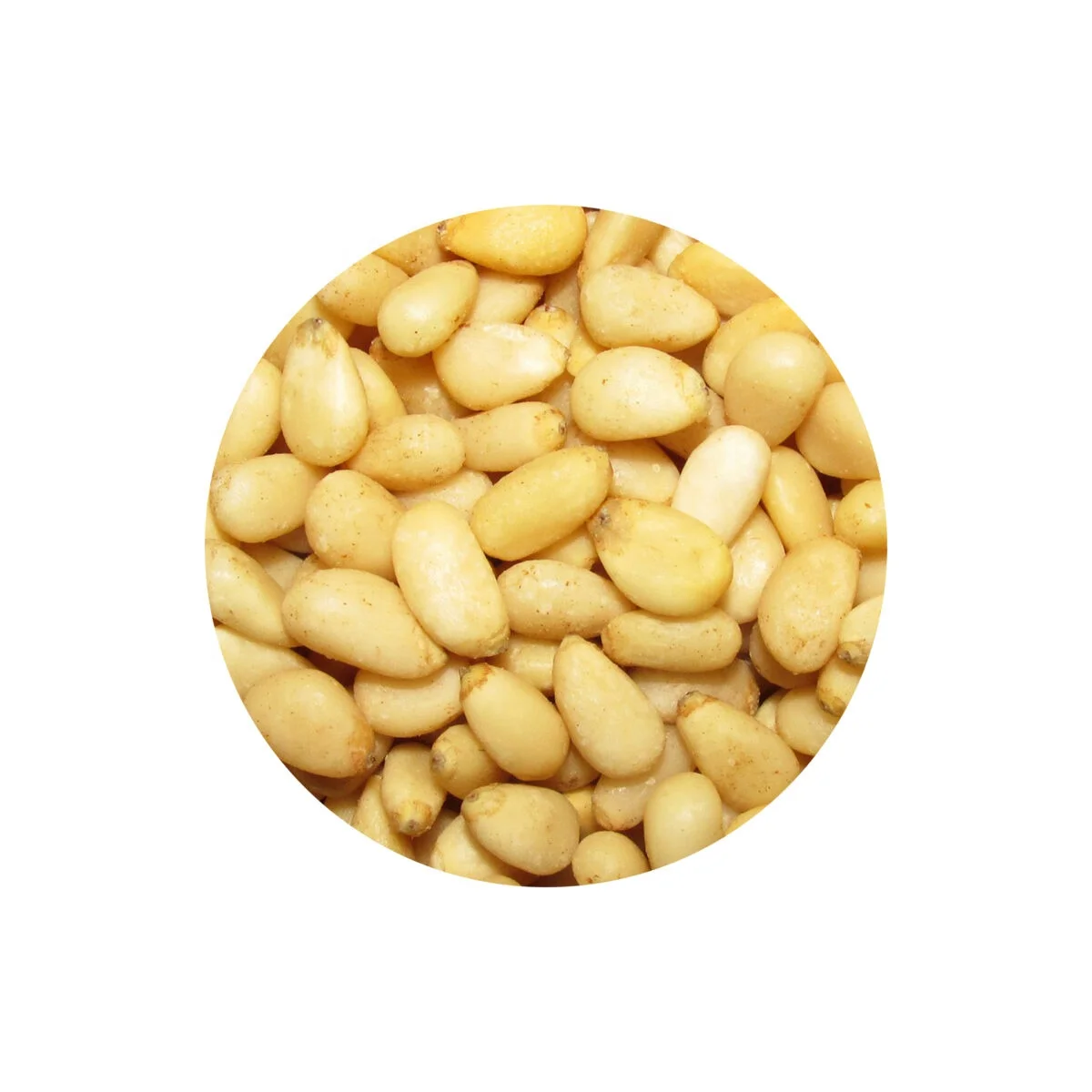 Organic Pine Nuts Cheap Price Roasted Dried Nut Snacks Open Pine Nut in Shell