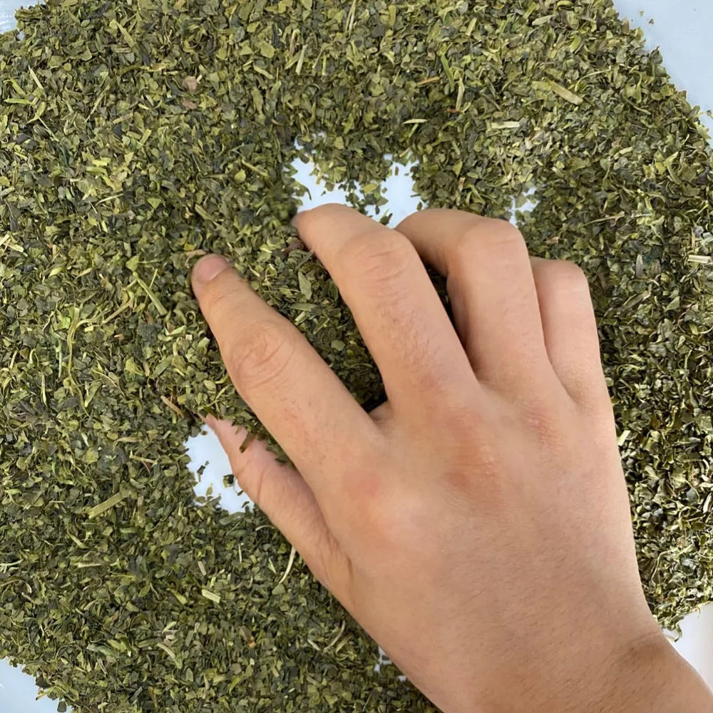 Fresh and Healthy green weight loss green tea for making herbal and organic tea bags at wholesale price