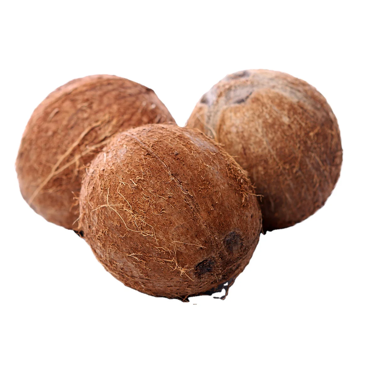 Vietnam Semi Husked Coconut -  Dried Coconut Exported from Vietnam - Matured Coconut with High Quality High Fat