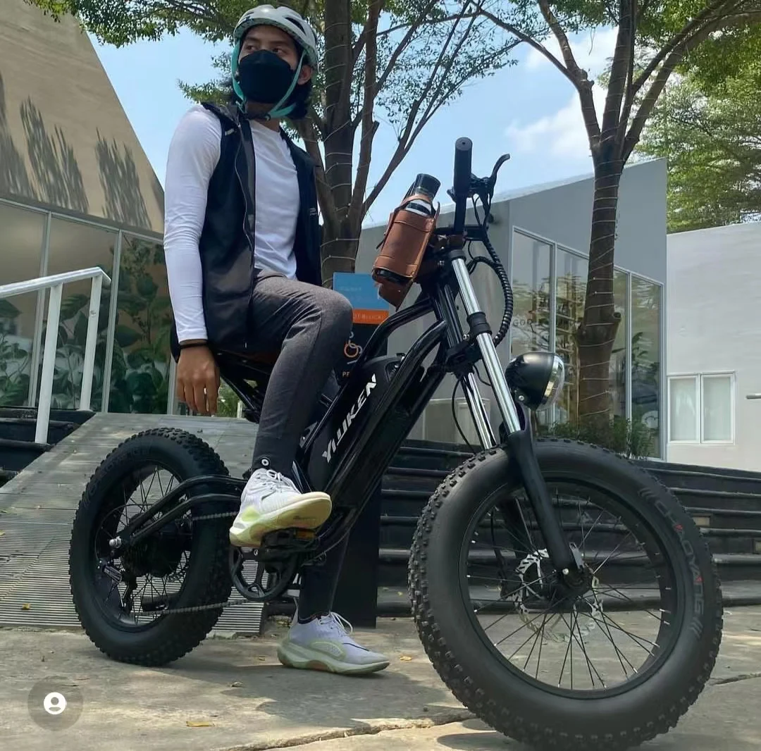 48V E-bike bicycle 20 inch electric bike fat tyre tire electric bike 750W High speed e-bikes electric bike bicycle