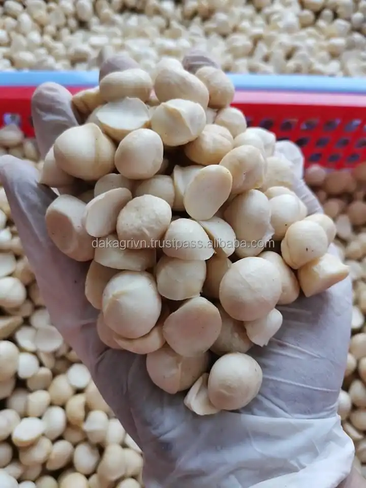 High Quality New Product Grade A OEM Common Food Dried Vietnam Dried Macadamia Nuts Store In Dry Place