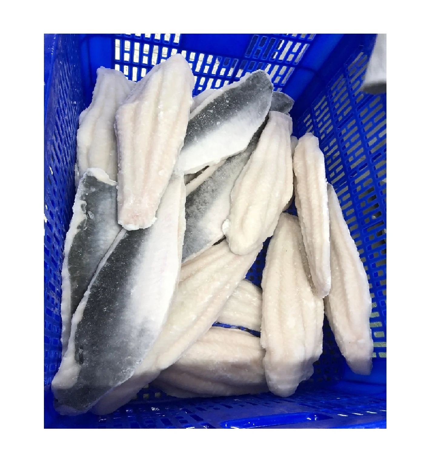 FROZEN BASA FISH/ PANGASIUS FILLET SKIN ON FOR SALE