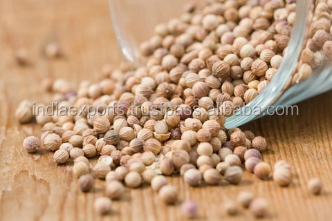 Whole Coriander Food Grade Manufacturers Wholesalers Good Quality Low Price Coriander Seeds Export Quality
