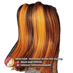 Vietnamese Hair Raw Virgin Cuticle Aligned Hair Free Sample 100% Virgin Vietnamese Human Hair Bundles