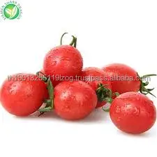 DRIED TOMATO High quality dried whole Tomatoes Premium 100% Authentic organic dried Tomatoes Best fruit from Thailand