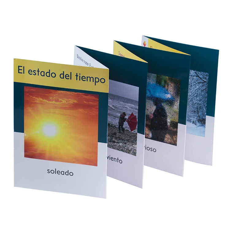 OEM Custom Design Folding Double-Sided Full Color Brochure Printing