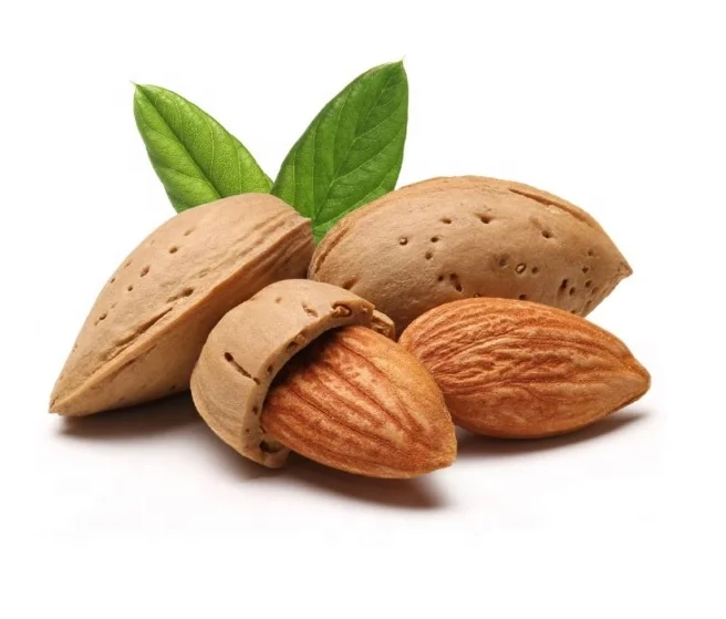 Organic Almond Nuts