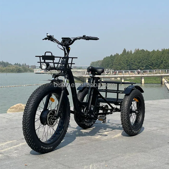 The best lithium battery powered pedal assist fat tire electric trike tricycle for the elderly