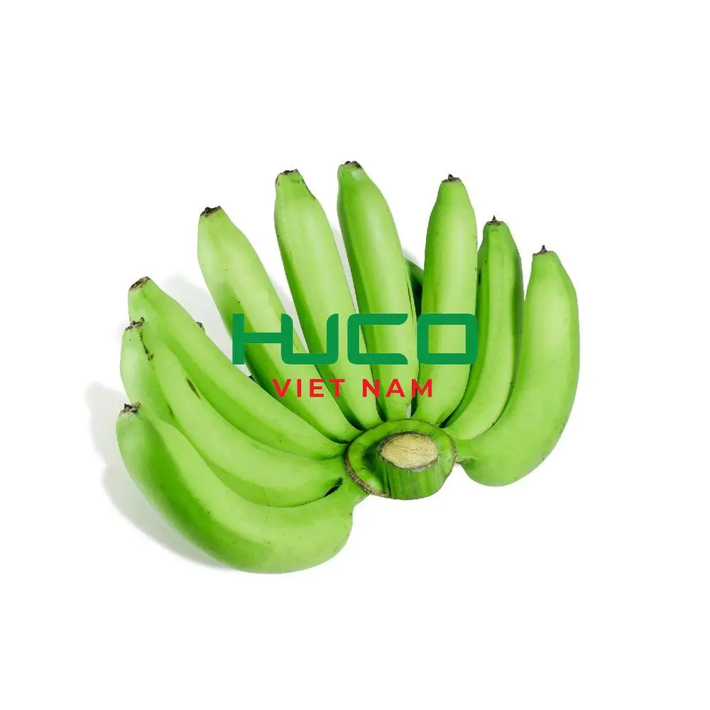Best selling Fresh Banana from Vietnam Good Price