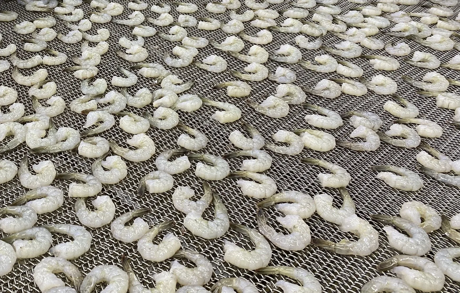 Vietnam Black Tiger Shrimp PD IQF Frozen 100% Natural Fresh High quality Seafood